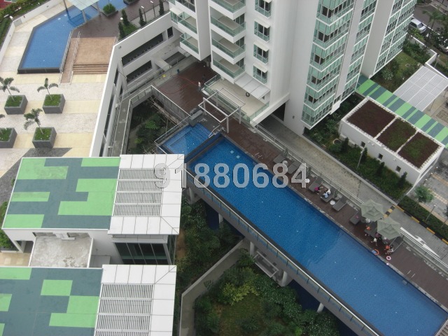 Tresalveo (D20), Condominium #6532